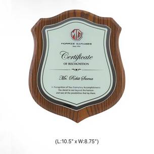 Memento Trophy 3748 Manufacturers, Suppliers in Delhi