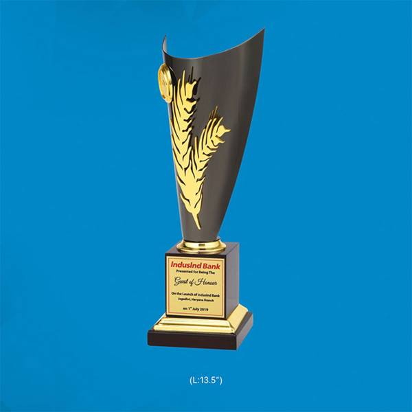 Memento Trophy 3873 Manufacturers, Suppliers in Bawana