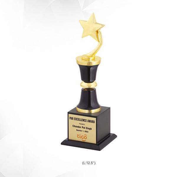 Memento Trophy 3930 Manufacturers, Suppliers in Baddi