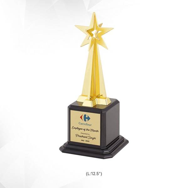 Memento Trophy 3938 Manufacturers, Suppliers in Saket